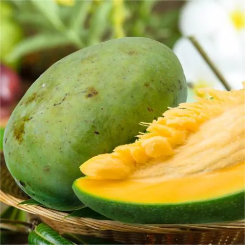 Extracto de Mango Africano (Irvingia Gabonensis)
